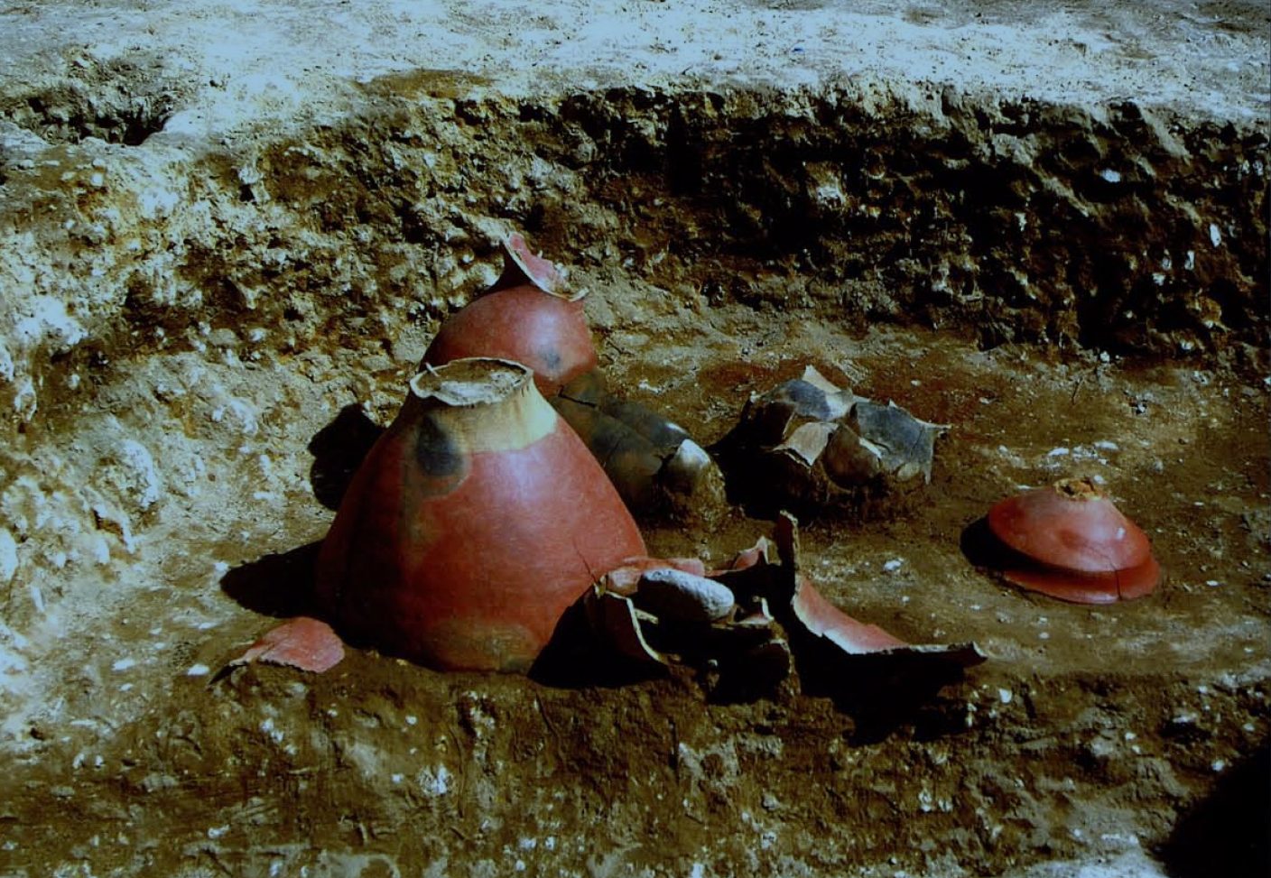 Ceramics from the Saku City site